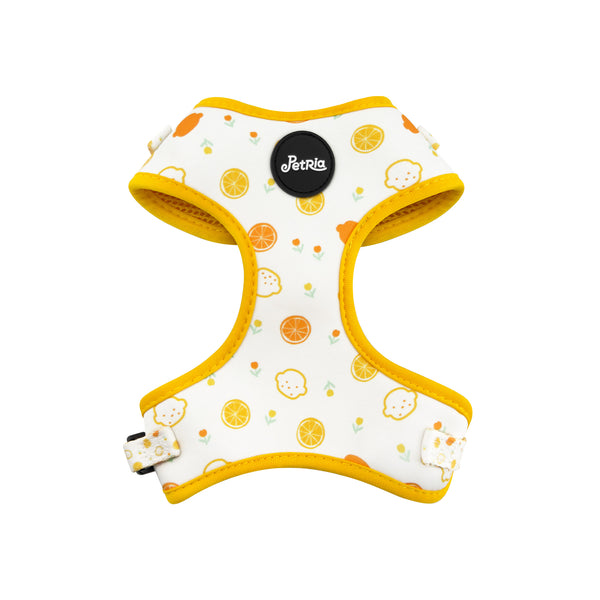 Lemon Breeze Dog Harness
