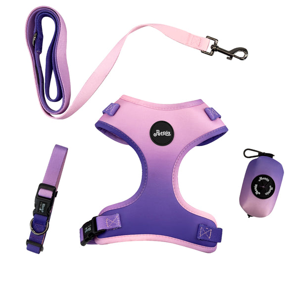Gradient Pink-Purple No-Pull Dog Harness & Leash Set